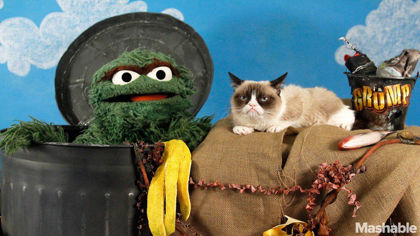 View image on Twitter