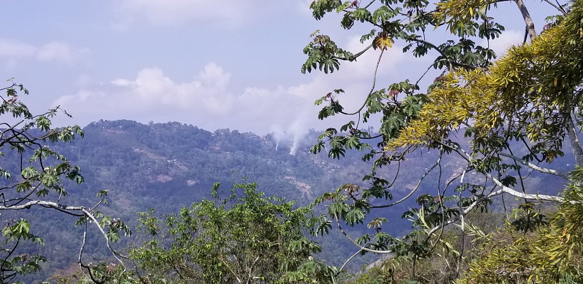 TioraFM's tweet photo. Ecocidio en San José de Los Altos. Esto es ZONA PROTEGIDA. Dónde están las autoridades? @MiEcosocialismo @GNBoficial #Miranda #SanJoseDeLosAltos https://t.co/urrRn9MMlk