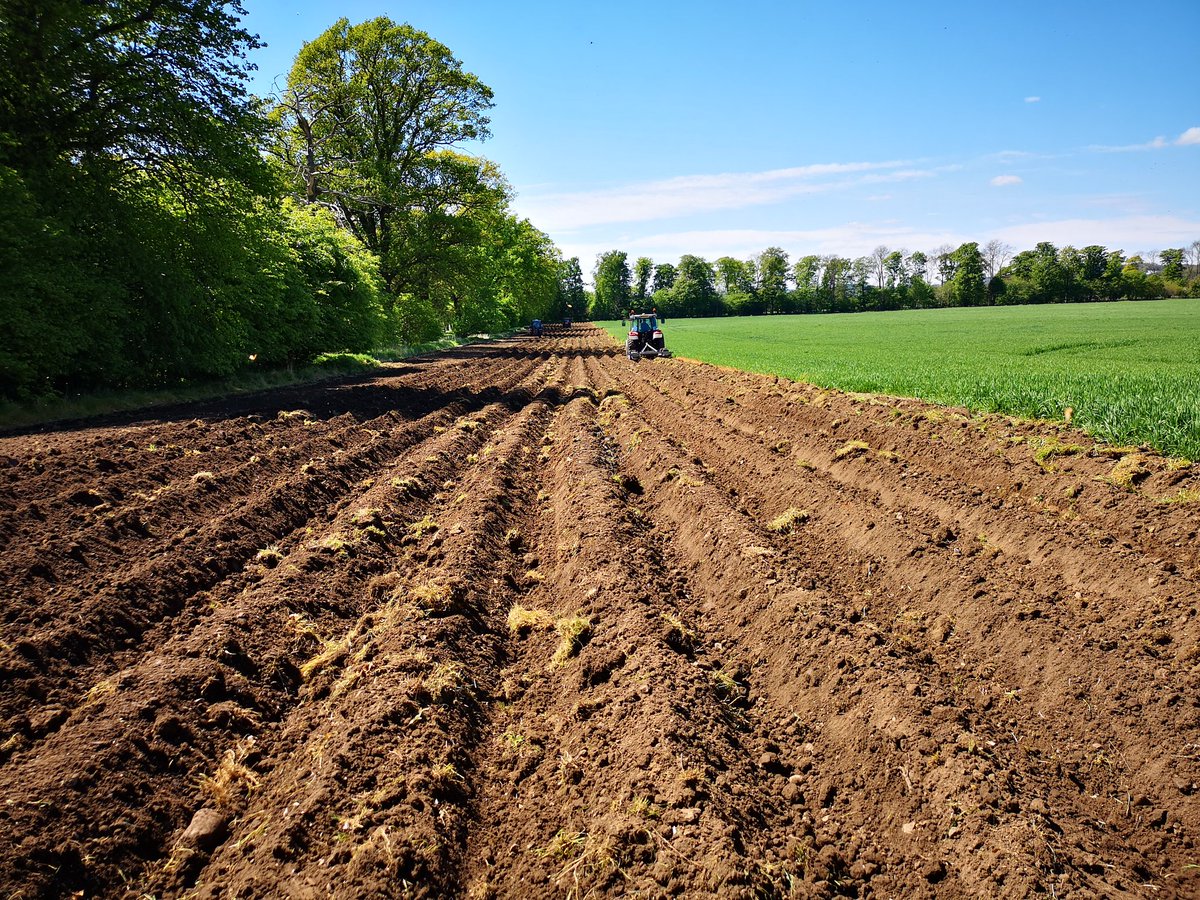 HuttonCSC's tweet image. Finished #MagicMargin. To help lessen #Erosion, #Runoff and increase #Biodiversity