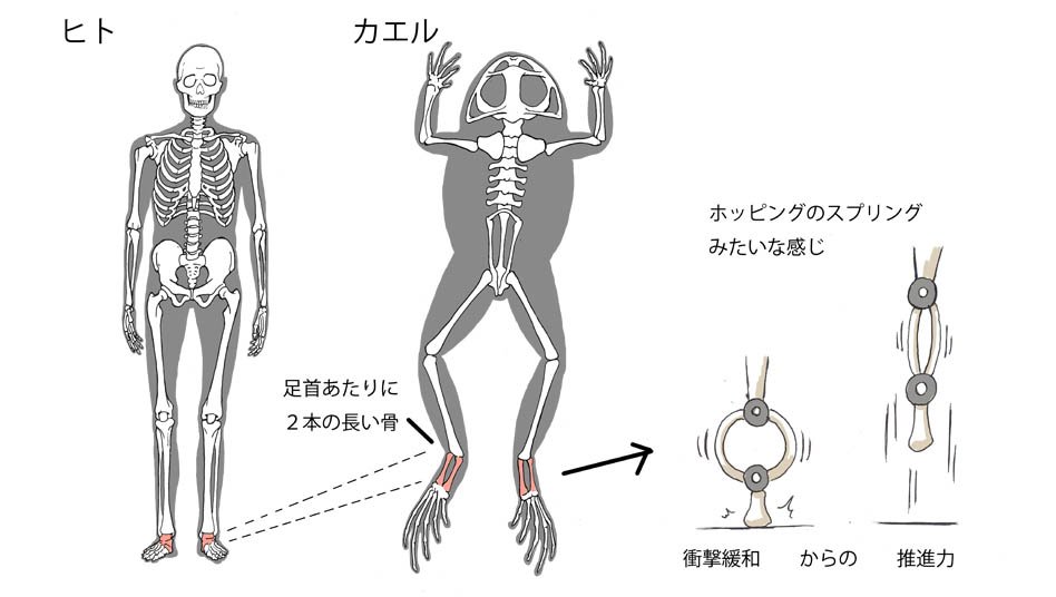 川崎悟司 على تويتر That S Ok