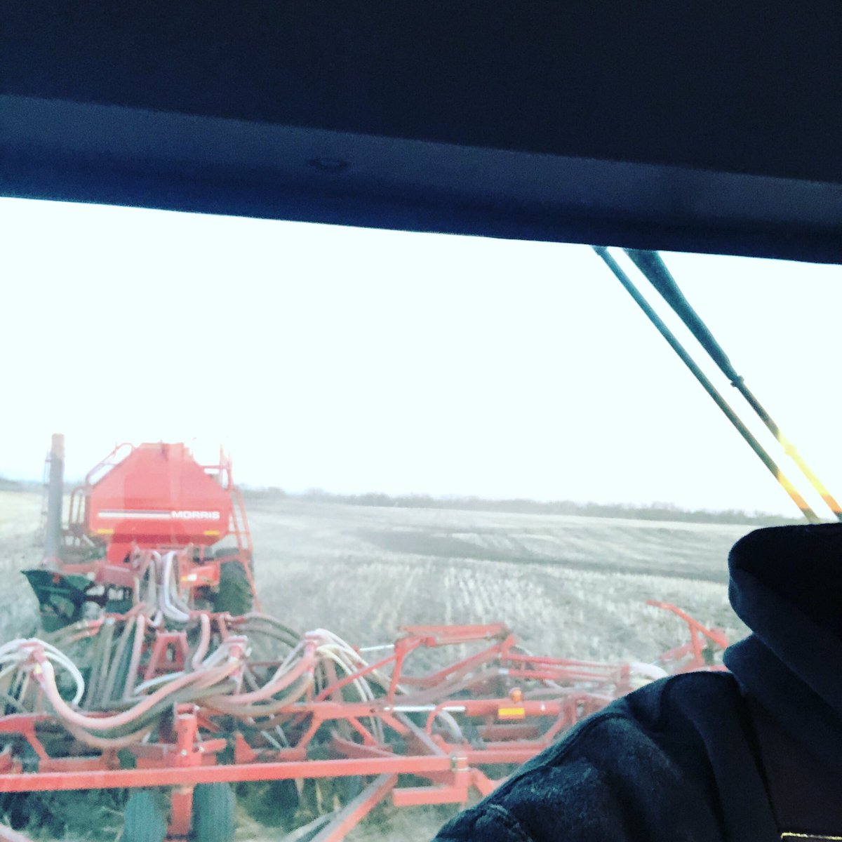 The crew finally got desperate enough to let me seed this year.  #maybeishouldntquitmydayjob #wheat #sask <a href="/Morris_Seeding/">Morris Equipment</a>
