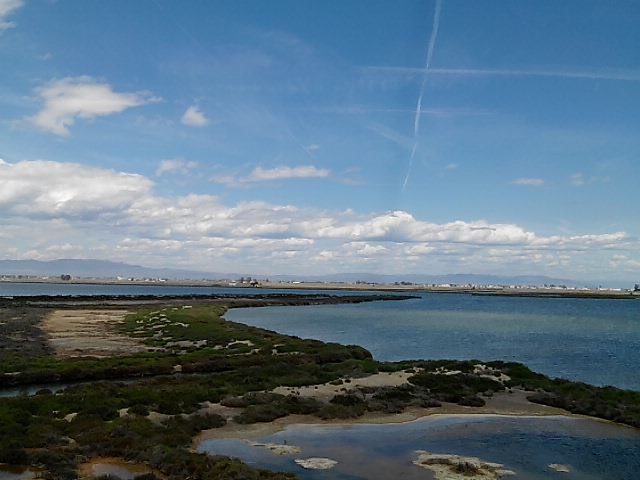 migado_asso's tweet photo. En tant que membre du comité scientifique du @migratoebre MIGADO a participé au Life exchange meeting, organisé par le Life migratoebre #CERM #IDECE sur le Delta de l'#Ebre les 9 &amp; 10/05.➡️Objectif : échanger sur 4 programmes Life en Espagne, Italie, Hollande et France https://t.co/TZWmvymgQb