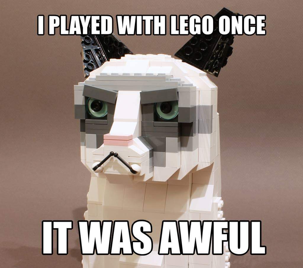 RIP Grumpy Cat. Thanks for making us smile! ♥️#grumpycat #lego #legomeme #grumpycatmeme