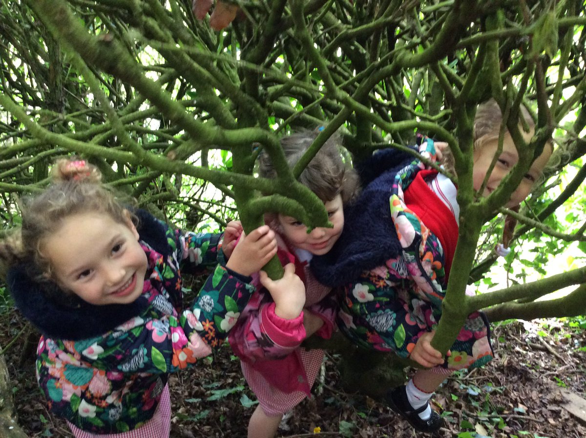 TrellechPrimary's tweet photo. So much fun in Reception Class looking for wild flowers.#easfoundationphase https://t.co/c3wQBlHRdD