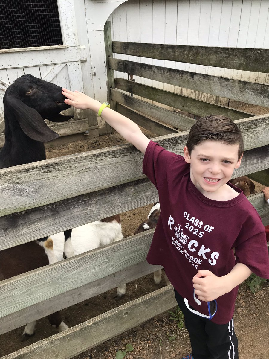 MrsMacchione's tweet photo. Hey third grade! Give a Goat! @3rdGradesACharm   @mrsostrowski3 https://t.co/g3kVDiPMVa