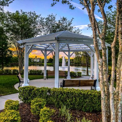 SharpReDesign's tweet image. #NewProfilePic