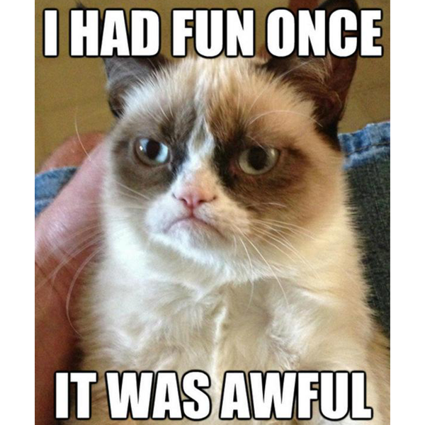 castle_cats's tweet photo. Grumpy Cat has brought happiness, humor, and relatability to us all despite her constant grumpiness. Some days are indeed just grumpier than others...
Rest in peace my friend π
#realgrumpycat #castlecats https://t.co/eLppJOMv1v