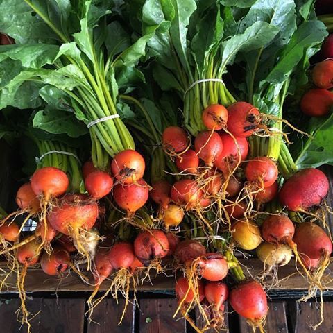 edible_houston's tweet photo. Hey Houston, meet your 2019 #LocalHeroAward Farm Finalists! Head to our website for the full lineup to #VOTE!
Three Sister
Gundermann Acres
@FincaTresRobles https://t.co/WcrWDP6fqs