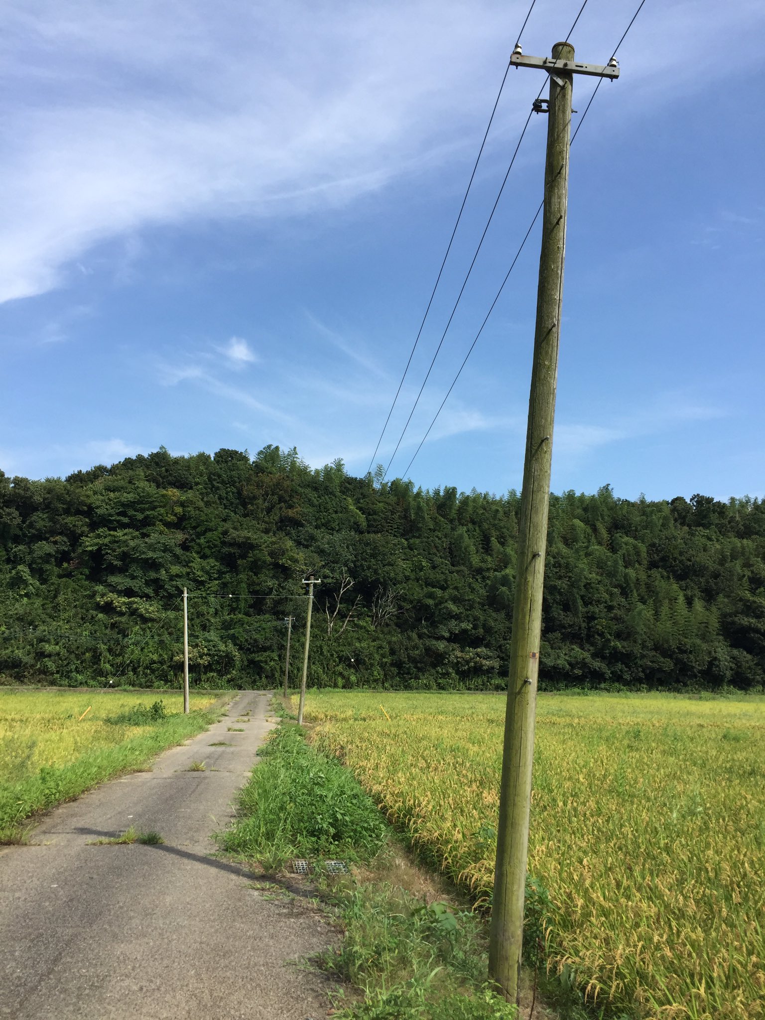 画像 木の電柱がある たぶん前にも言った 田舎という言葉を使わないで田舎を表現 T Co Zj95whg24z Matomehub まとめハブ 画像 木の電柱がある たぶん前にも言った 田舎という言葉を使わないで田舎を表現 T Co Zj95whg24z Matomehub まとめハブ