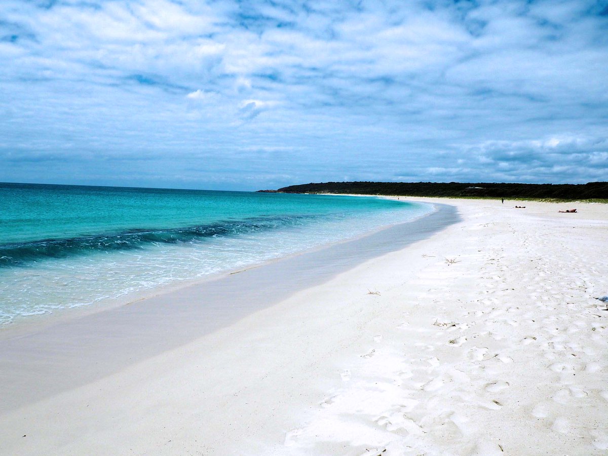 Did I mention the beaches? Bunkers Bay Beach - what a find! Absolutely empty when I visited. Discover <a href="/MargaretRiver/">MargaretRiverRegion</a> New post now up on top travel spots around the region bit.ly/2LHB5m6 #westernaustralia #travel #tourism #travelblogger #bunkersbay