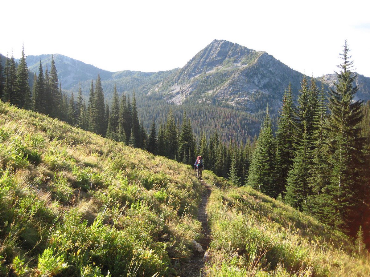ForestServiceNW tweet picture