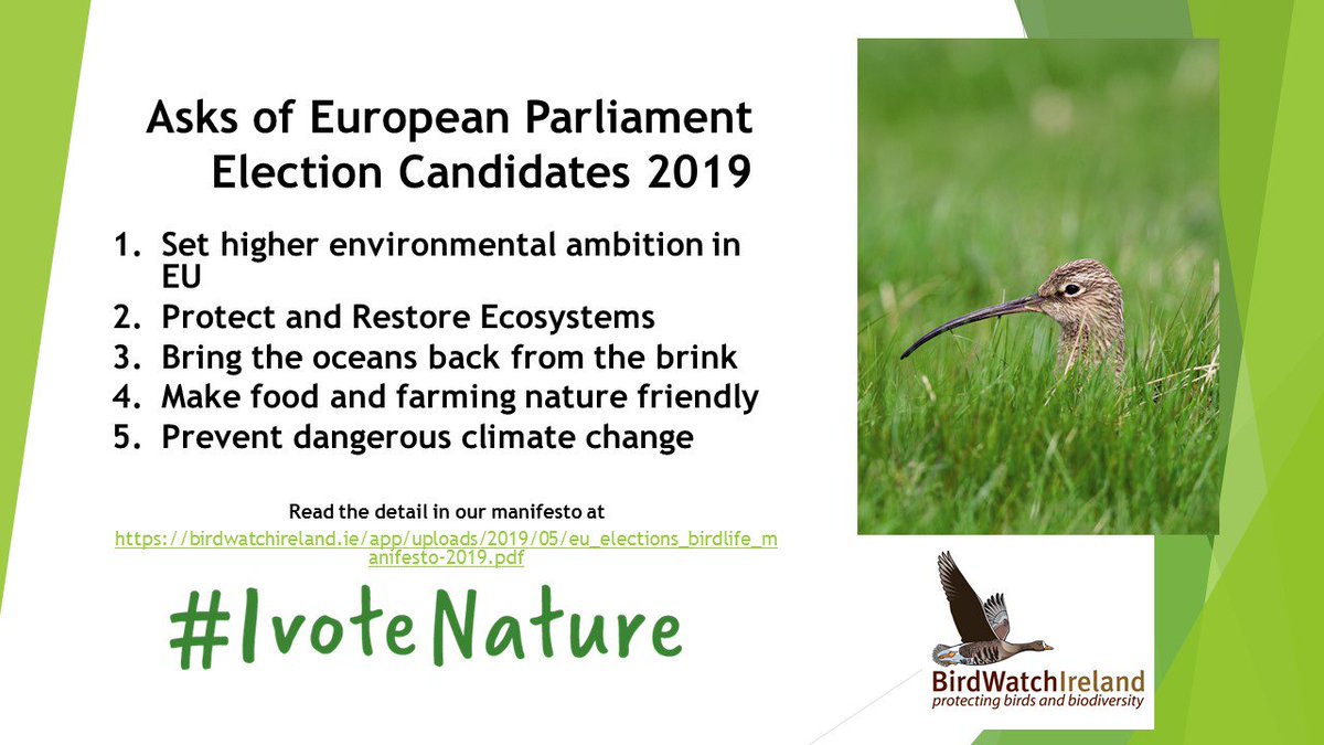 BirdsMatter_ie's tweet photo. #IvoteNature @BirdWatchIE asks of European Election candidates. Read the manifesto here https://t.co/QCB1uGhfBe  #EP2019 #ThisTimeImVoting @BillyKelleherTD @aliceeire @GraceOSllvn @CiaranCuffe @AlexWhite4EU @lukeming @mattcarthy @malcolmbyrne @SeanKellyMEP @MaireadMcGMEP https://t.co/bn7YuLy1sO