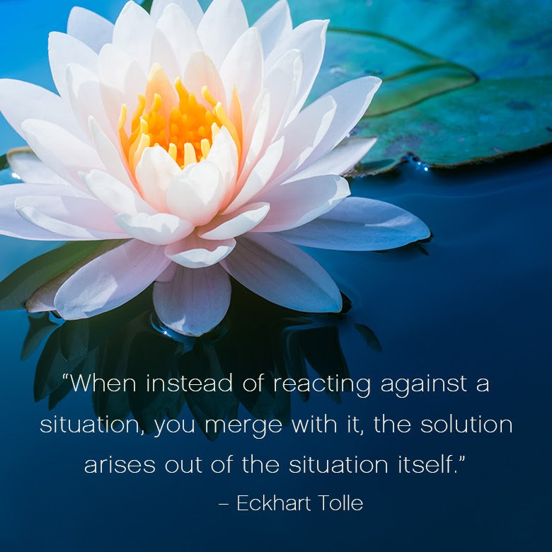 "When instead of reacting against a situation, you merge with it, the solution arises out of the situation itself." - Eckhart Tolle #mindfulness #presence
