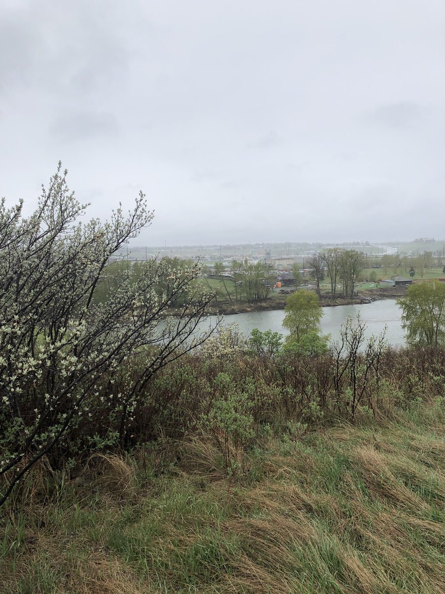 GWSJones's tweet photo. An inspiring day connecting with the land and creating narratives. Students need experiential learning! #Ellcbe #WeAreCBE https://t.co/jAUalYPUCI