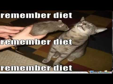 DAMNDIET's tweet image. 