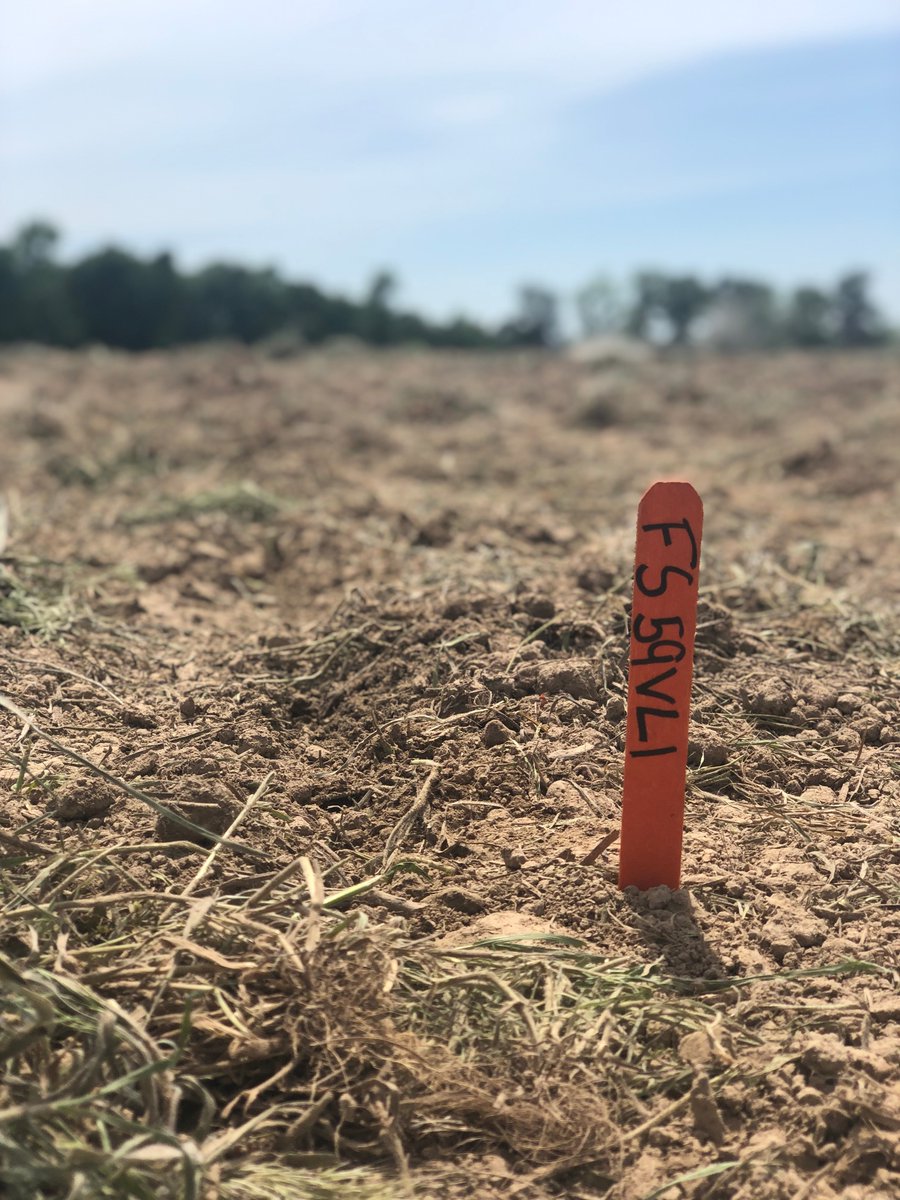 Gateway FS on Twitter "Today we were able to get a test plot in at one Gateway FS on Twitter "Today we were able to get a test plot in at one