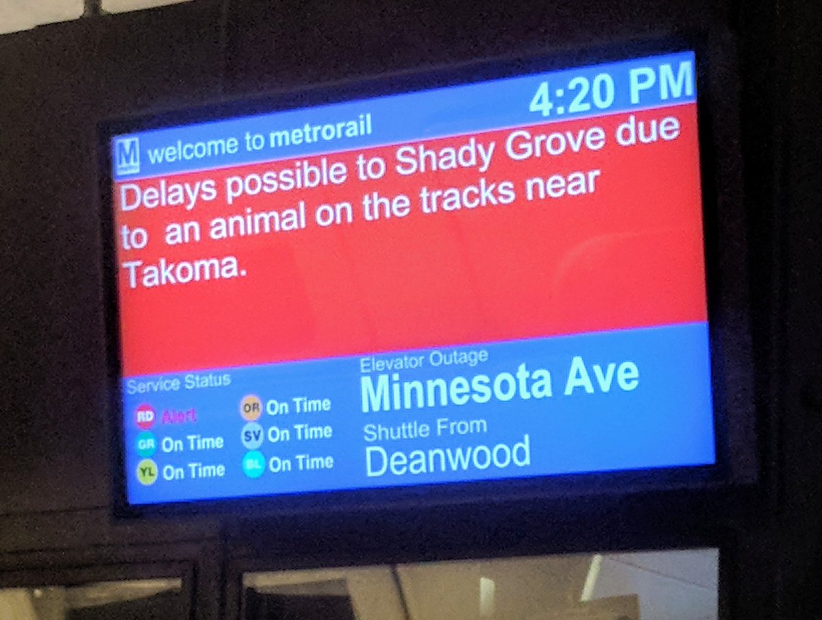 heatherspence's tweet image. I have so many questions! #BiologistProblems