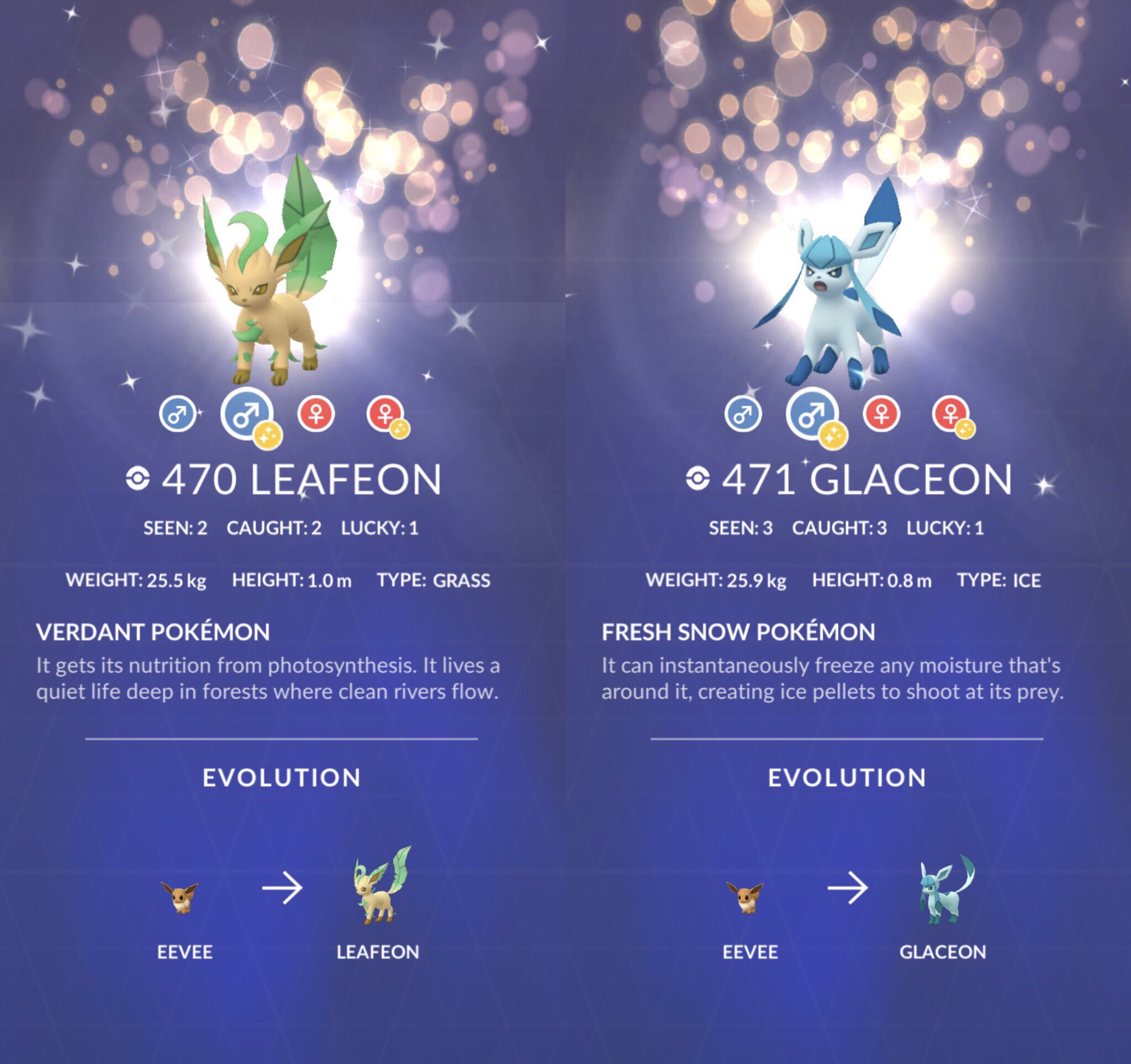 Pokémon GO terá Leafeon, Glaceon e novos lures, indica datamining