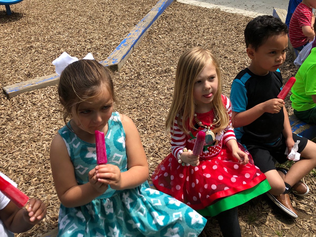 Rachel Hamberger tweet media