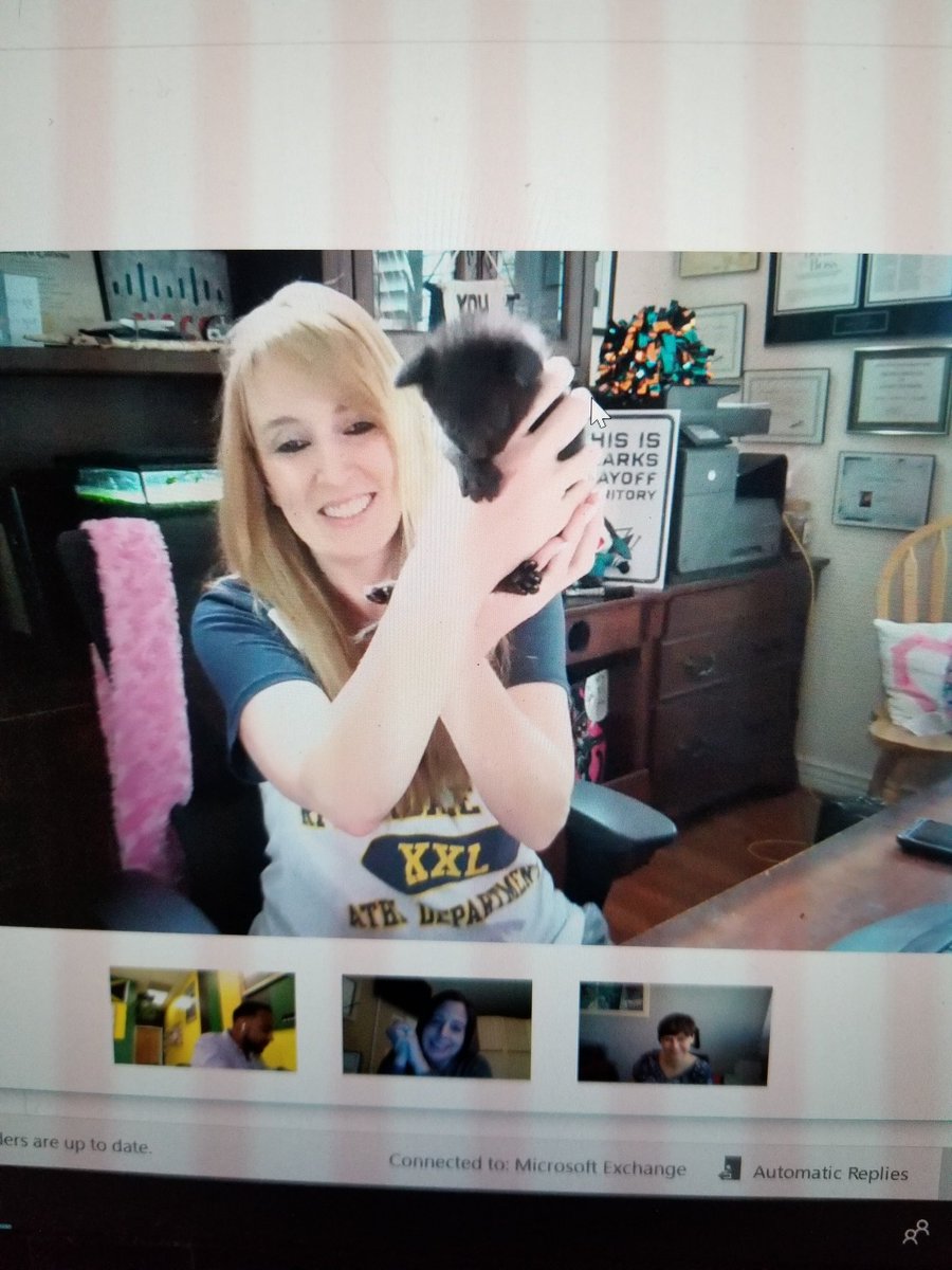 jillshaul's tweet image. Kittens on conference calls! Made my day and my #Ciscoversary. Thank you @SJSharks2015 #WeAreCisco