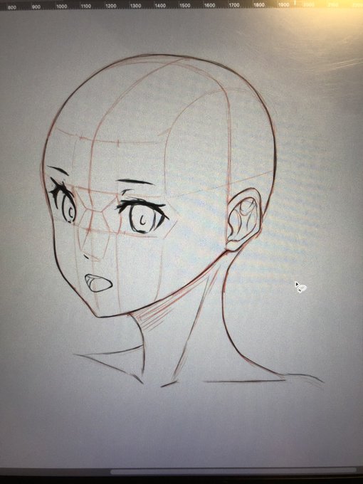 アタリを入れたら安定してきた。
鼻辺りと眼まわりの凹凸がしっかり把握出来るようになればグッとよくなりそう 