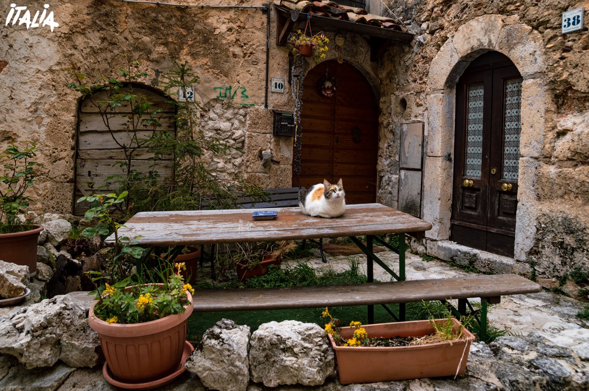 Italia's tweet photo. The villages of #Abruzzo are pure magic! Check out these pictures we’ve taken in Santo Stefano di Sessanio.
Follow the link to know more 👉 https://t.co/FvtZCTVa2y
#Italytoenjoy #GiroE https://t.co/e4M84FNG48