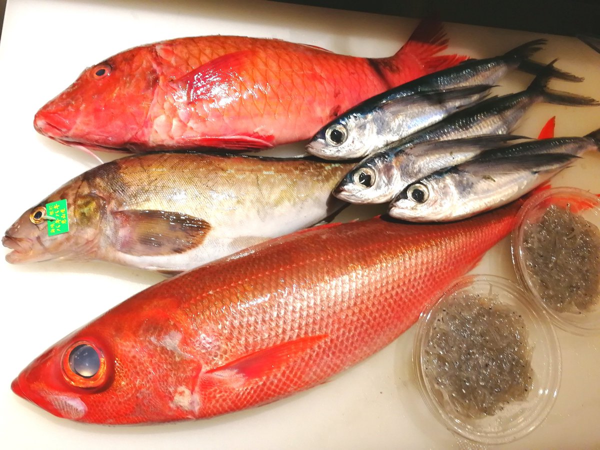 旬鮮酒場nobu 小田急相模原の居酒屋 旬鮮酒場nobu です 美味しい珍しい魚入荷しました ほっけの刺身はなかなか食べれませんのでお見逃しなく オジサン ほっけ ちびき トビウオ 生しらす ずわい蟹 旬鮮酒場nobu T Co 9ea8dha0cf