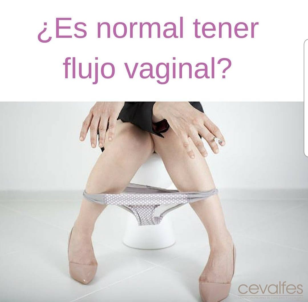 fidelplataa's tweet photo. Es normal tenerlo?
Desliza para saber más 👉🏻 #flujovaginal #tudecides #fidelplata #soledadsoñada #mococervical https://t.co/PNtGFeqbWy