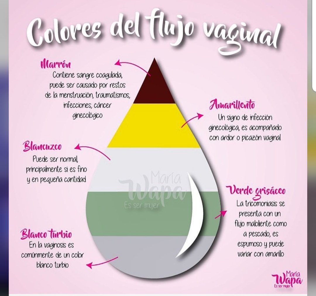 fidelplataa's tweet photo. Es normal tenerlo?
Desliza para saber más 👉🏻 #flujovaginal #tudecides #fidelplata #soledadsoñada #mococervical https://t.co/PNtGFeqbWy
