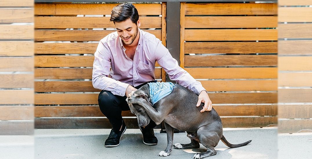 PCCGreenClean's tweet image. You chosen a home.
Your offer went through.
The papers are signed.
Your purchase has just saved the life of a pup in need of a home.
What a fantastic way to give back.

buff.ly/2GsiWoL

#vancouverrealtor #realestate #firsthome #animalrescues