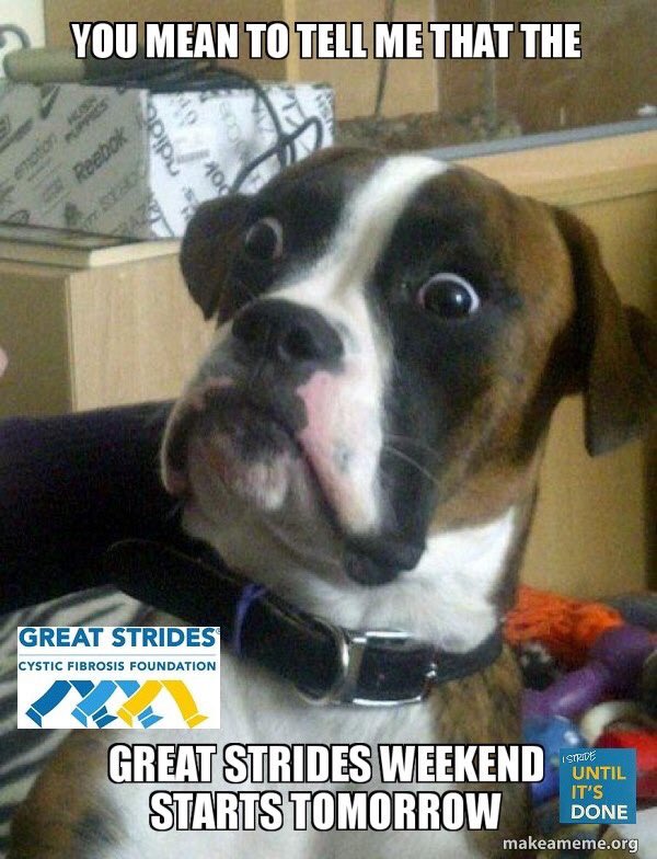 CFF_MassRI's tweet photo. Great Strides Walk Weekend is tomorrow. If you have not registered, please register today at: https://t.co/bwMBtjNPGI
#GreatStrides #WhyIStrides4CF #UntilItsDone #UntilCFStandforCureFound #CFAwareness #CFAwarenessMonth #cffmari #CysticFibrosisFoundation https://t.co/f4gevg4X8b