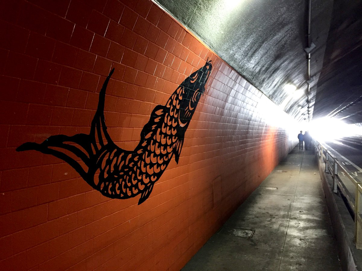 sfpublicworks's tweet image. Isn&apos;t it FIN-tastic? Koi Fish have made their way into the Stockton Tunnel! 🐠🐟 #InfrastructureWeek #BuildForTomorrow