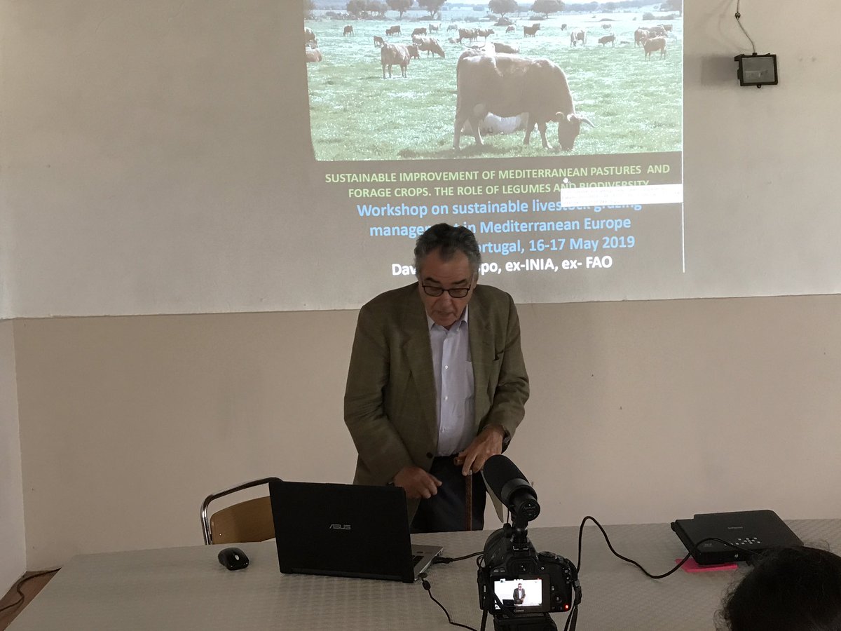 redPAC_'s tweet photo. 👉"Las condiciones de mejora de #pastos y #forrajes en la #dehesa hacen posible que el #ganado pueda permanecer allí todo el año sin necesidad de estabularse" David Crespo en #GrazingConnection @TrashumanciayN @WWF_Portugal @WWFespana @EIPAGRI_SP @pt_rrnacional | @dhowellseo https://t.co/I5JwIx8v8H