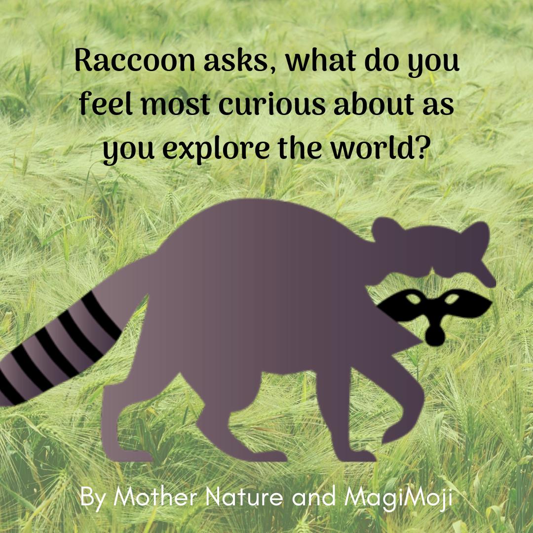 a #natural curiosity for the world around whispers #raccoon, as he strolls by at dusk. #animalmedicine #naturalworld #createmagimoji #communicate #explore #gaia