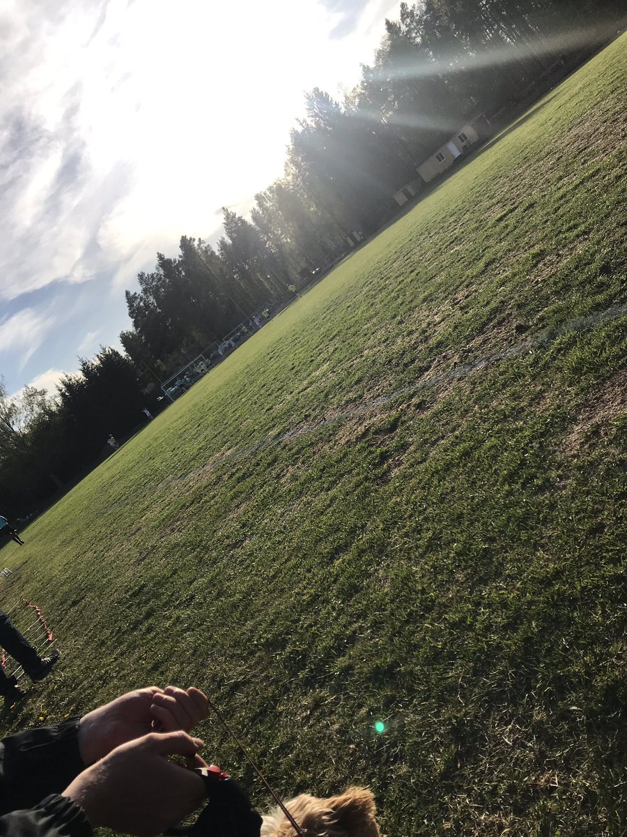 Hille IF Herrar tweet media