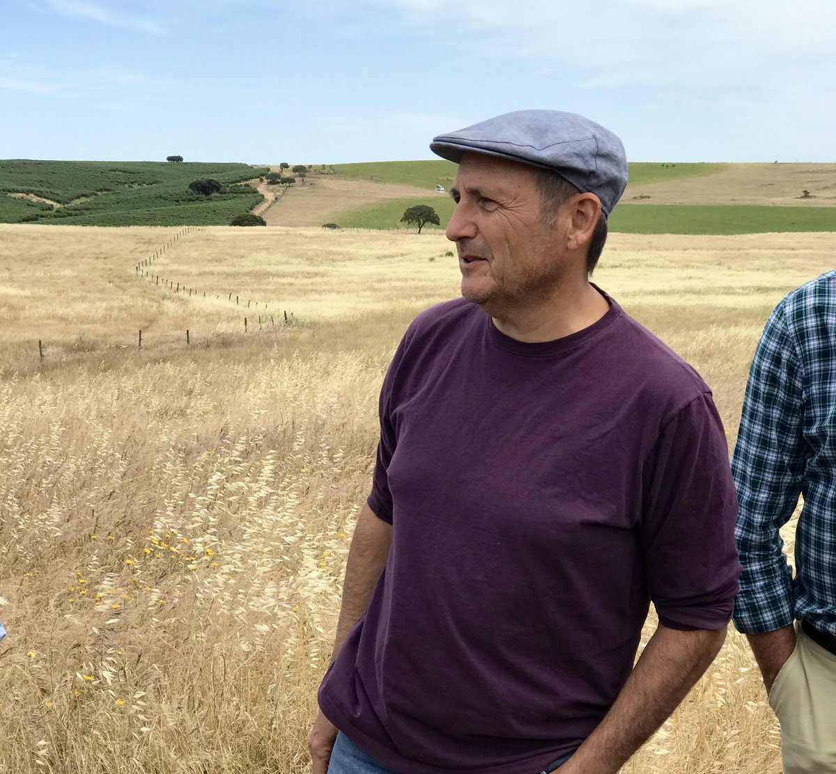 redPAC_'s tweet photo. 👉 "Tan perjudicial para el sistema de la #dehesa es el exceso de carga ganadera como la ausencia del #ganado para aprovechar sus recursos pastables" Manuel Die en su finca de #Elvas
👉 #GrazingConnection @TrashumanciayN @WWF_Portugal @WWFespana @EIPAGRI_SP @pt_rrnacional https://t.co/MGMjpu9ALs