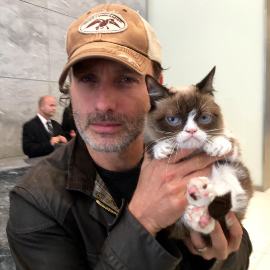 The Walking Dead Shares Andrew Lincoln With Grumpy Cat Photo