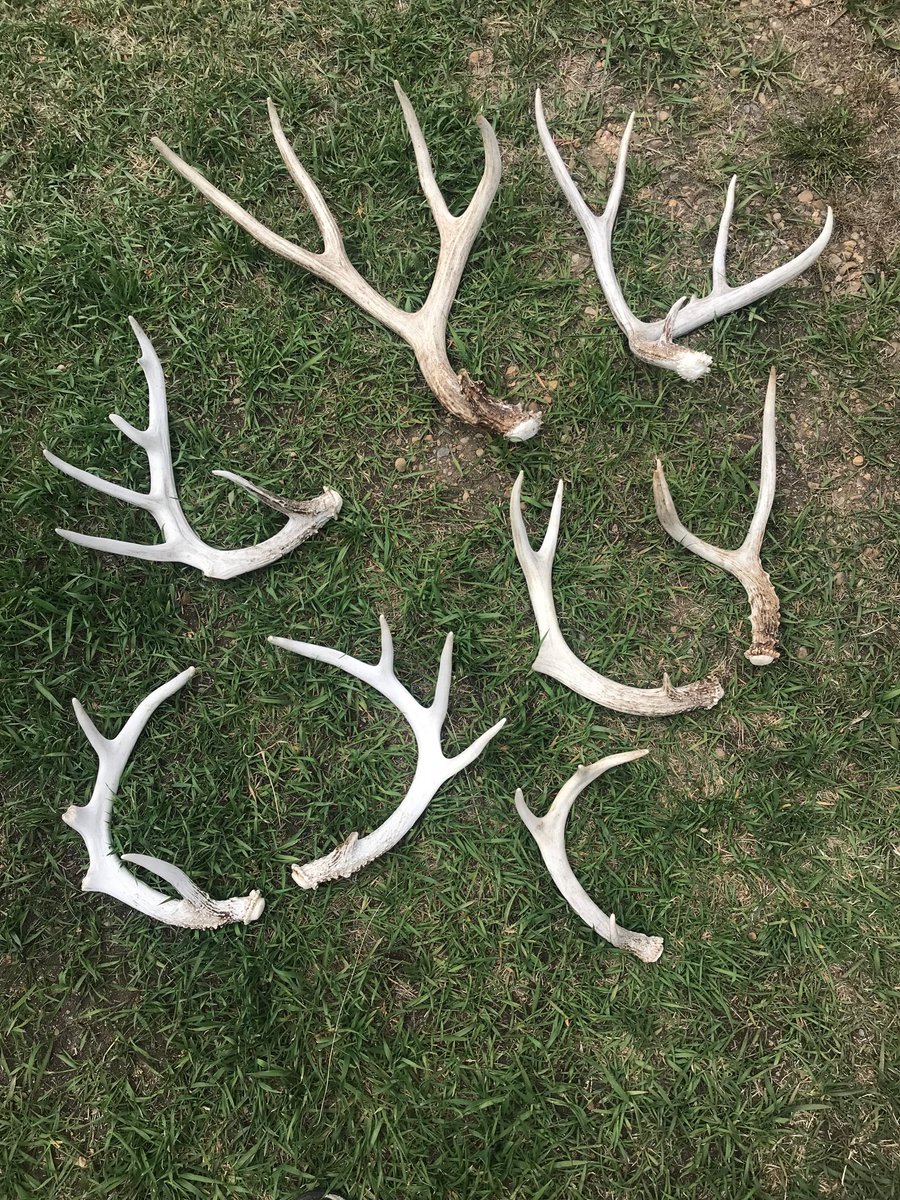 All in a day of spraying