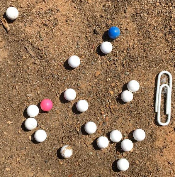 MayKelly's tweet image. What are these things I occasionally find on my patio and yard? It's not candy. They crush with a hammer. Today I found at least sixty of these.  Sometimes they're all pink, sometimes all blue. Sometimes mixed like today.
#strange
#mystery
#roundobjects
#aliens ?