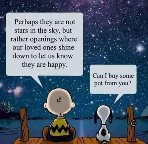 Best one that I’ve seen in awhile.
