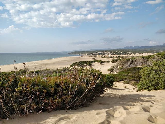 maravilha_food's tweet photo. Le dune di Piscinas... Senza filtri.. Non c'è bisogno.. 😍
#sardegna #sardinia #myisland #costasudovest #instasardegna #igersardegna #weekend #dune #piscinas #island #instalike #instacool #colorsofthesea #sand #wind #colours #primavera #picoftheday #i… https://t.co/Pj343YpJbd https://t.co/zR6MOtoqU2
