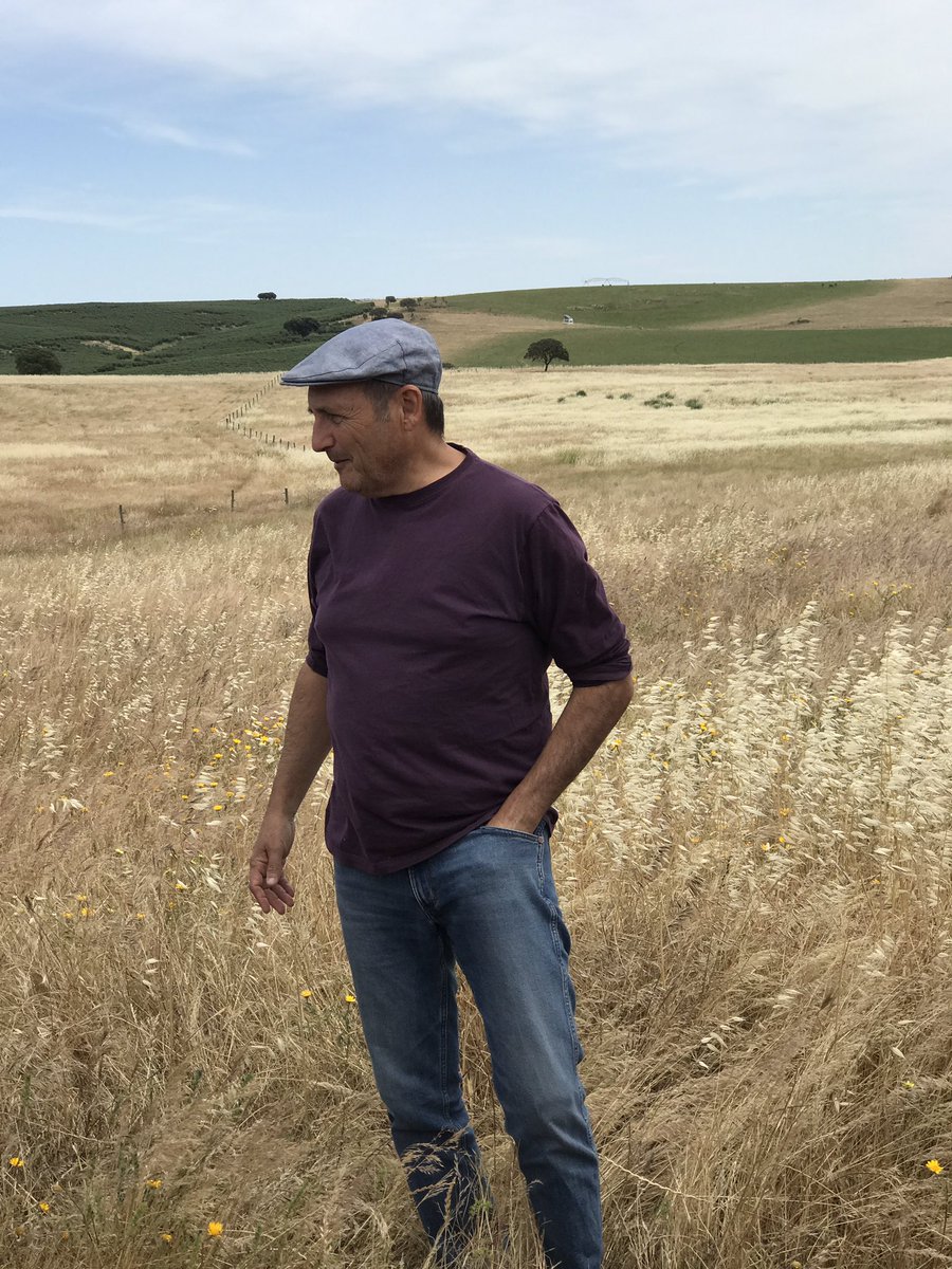 CsarMarcos's tweet photo. "El movimiento de #ganado intenso y en poco tiempo en recintos pequeños para pastar rápido y fertilizar es un elemento clave del manejo #holístico de la #dehesa", Manuel Die
👉 #GrazingConnection @TrashumanciayN @WWF_Portugal @WWFespana @EIPAGRI_SP @pt_rrnacional | @dhowellseo https://t.co/JdlGVaDPIA