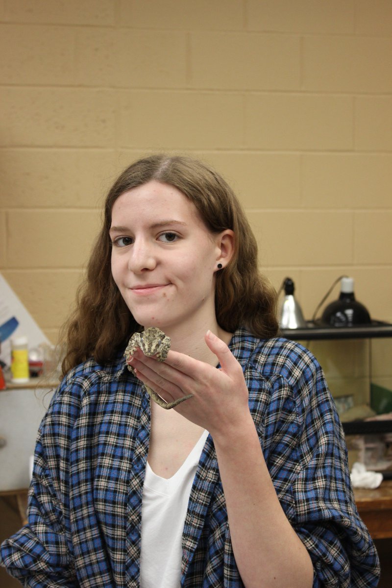 Our resident gargoyle gecko, Cooper, got lots of love today! <a href="/HarveySchoolNY/">The Harvey School</a> #IAmHarvey #HarveyPRIDE #HarveySci