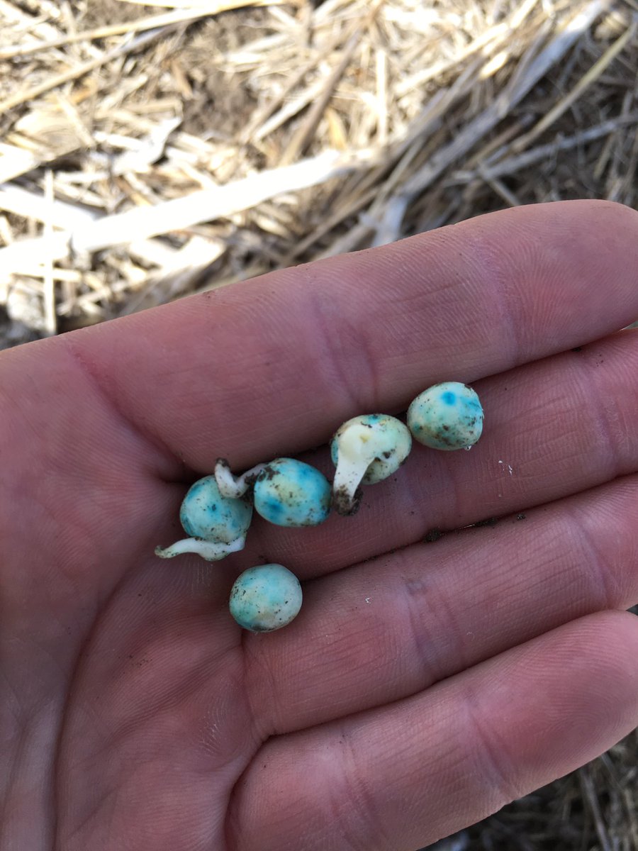 bscomet22's tweet photo. VR seeding rate by zone?? Uhmmmm I guess so 🤷♂️ #nomaprequired https://t.co/NUBTm9YHW6