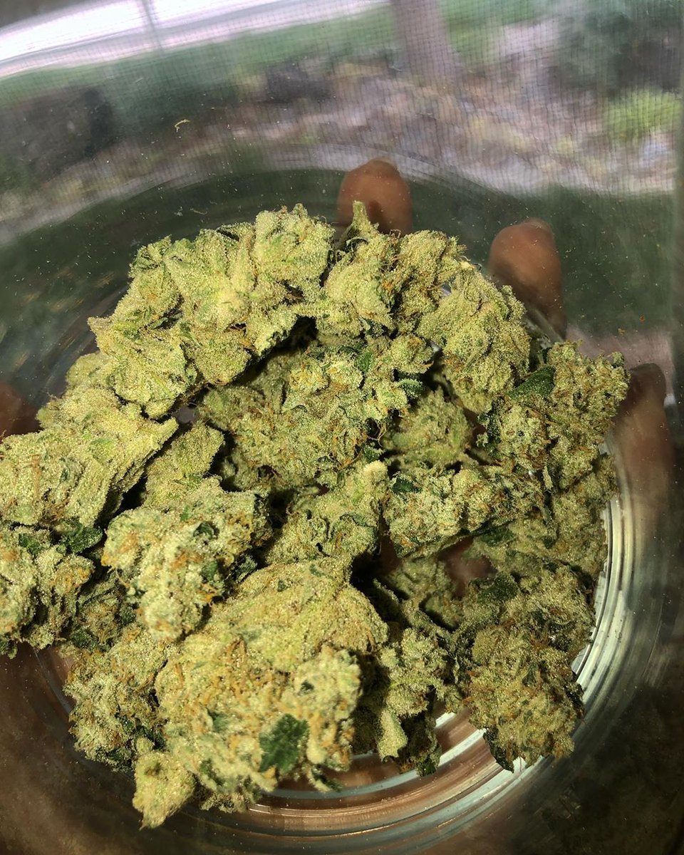 weedydotcom tweet media