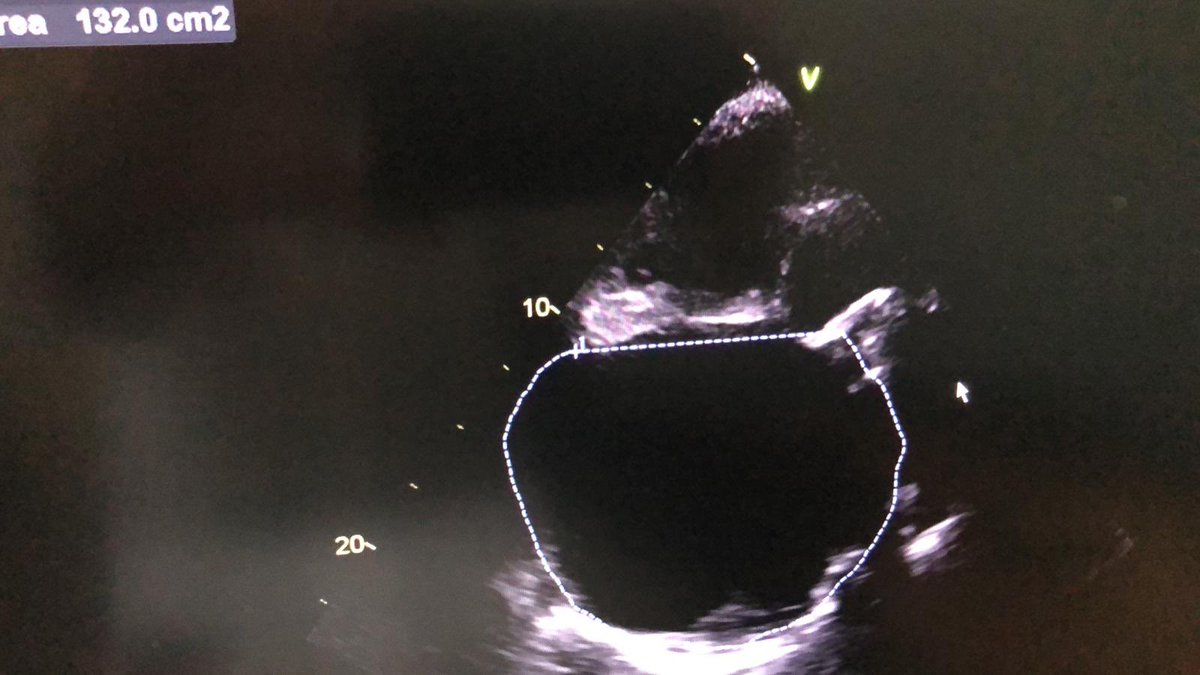 ChrisperlMd's tweet image. Very accomodate