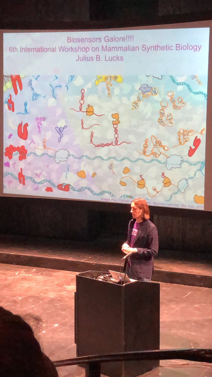 Western Synthetic Biology Research Program tweet media