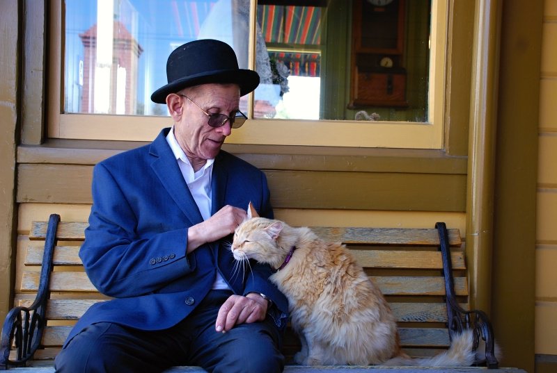 MuseumsofArroyo's tweet image. We hope when you visit Heritage Square Museum on Museums of the Arroyo Day May 19, you will get the chance to say hi to Belle! Noon -4pm. Free admission. museumsofthearroyo.com