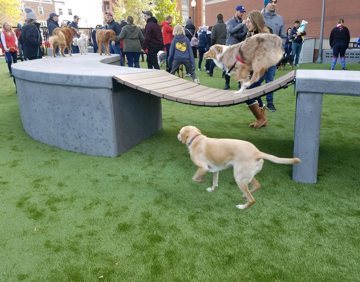 We're celebrating here at LAI! Last night we had the honor of accepting an Honor Award for Social Impact for our park project #Swampoodlepark given to us by #PotomacASLA. Sending a huge thank you to <a href="/NoMaParksDC/">NoMaParksFoundation</a> for coming out and accepting the award with us!