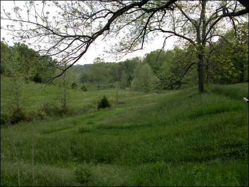 HomesteadOrg's tweet photo. #HowTo #BuyLand Very #Cheap | #Tips for Buying #Rural #Land | #homesteaddotorg #landowner #adulting #homesteading #savemoney #ownerfinance #mortgagefree #investment #home #homestead #homesteadinglife https://t.co/ttuHCxl8a9 https://t.co/WEAuSfGgmo